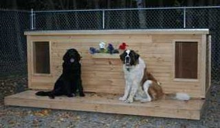 Maggie and Molly - Ontario, Canada